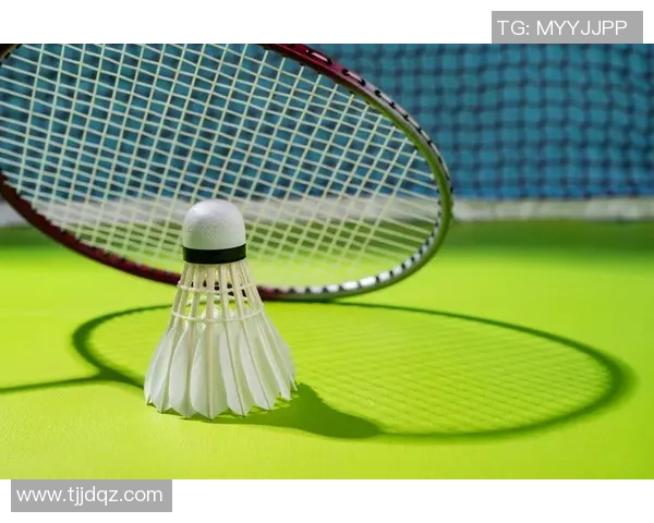 南京羽毛球队防反战术深度分析与实战应用探讨