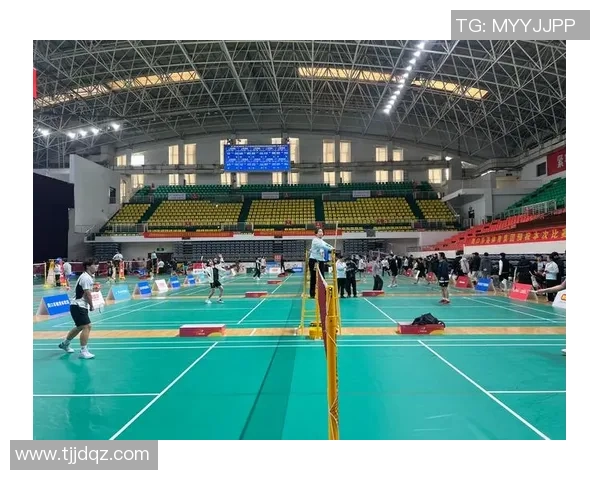 成都羽毛球队与南京羽毛球队赛后技术分析与战术复盘探讨